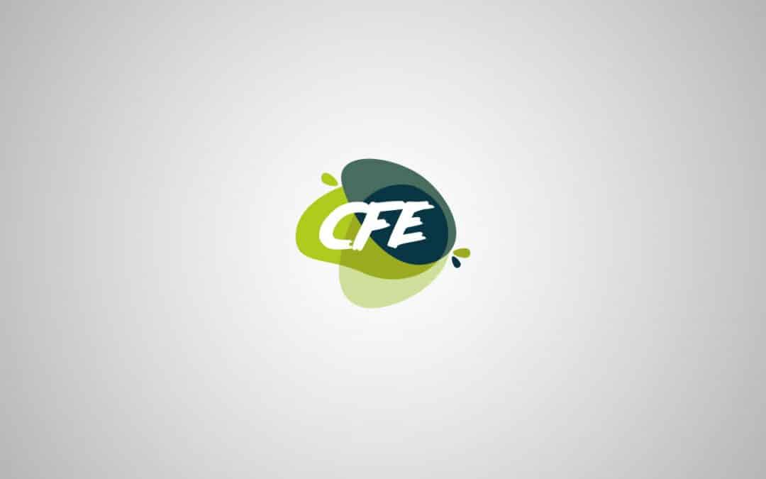 Logo CFE France Conseil Fluide Equipement